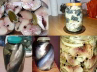 12 рецептов домашнего посола скумбрии, сельди, кильки и мойвы
