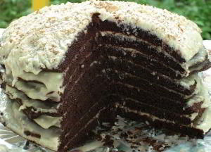 Шоколадный торт на кефире "Ноченька" 
