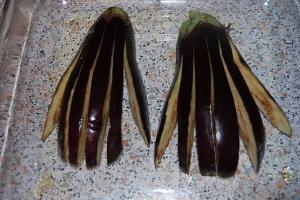 Баклажаны Жар-птица