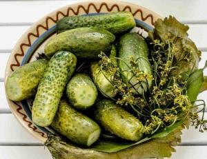 Быстрые малосольные огурцы