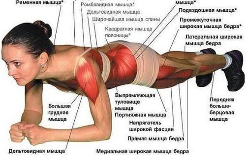 Планка - одно упражнение для всех мышц
