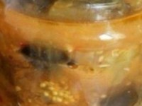 Баклажаны в остром чесночном соусе на зиму
